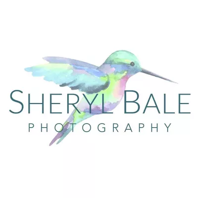Sheryl Bale Photography