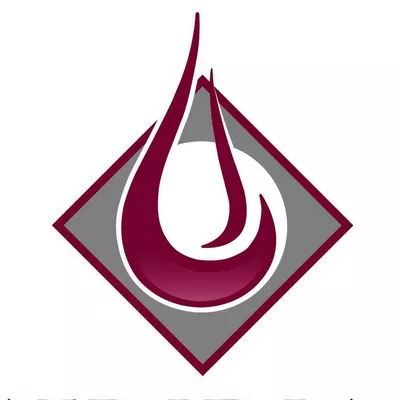 The Meridian Company