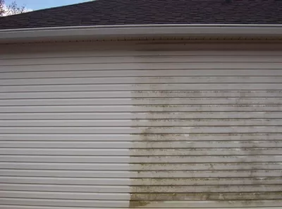 Jarman's pressure washing/Jarman’s pest control