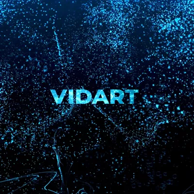 VIDART