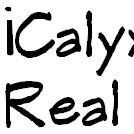 iCalyx Property Management