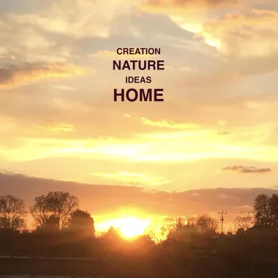 Alma Home Solutions LLC