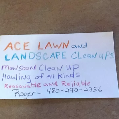 Ace maintenance