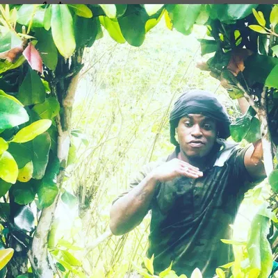 JAH MOVES