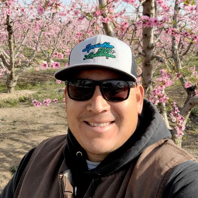 Springtime pools and landscapes