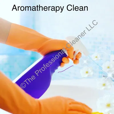 The Professional Cleaner