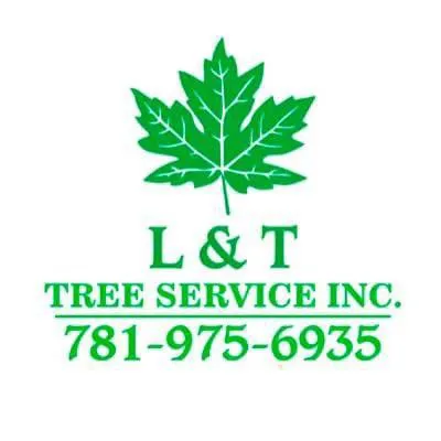 L&T TREE SERVICES INC