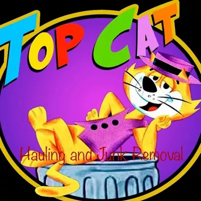 Top Cat Hauling and Junk Removal