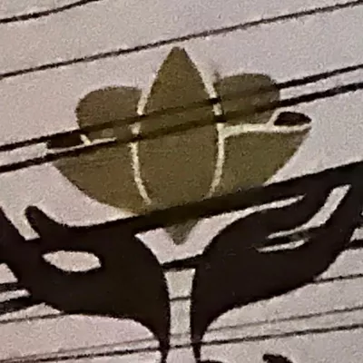 Lotus Home Solutions, LLC