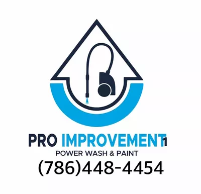 Pro improvement1