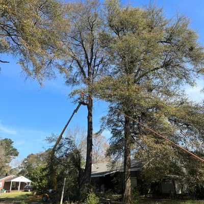 C & C Quality Lawn & Tree Service