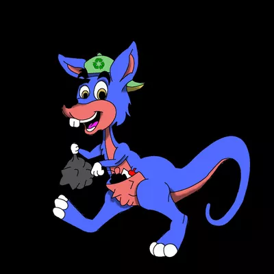Junkaroo's Junk Removal