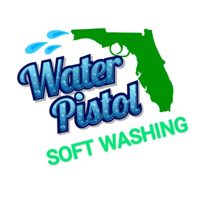 WATER PISTOL PRESSURE WASHING & WINDOW CLEANING