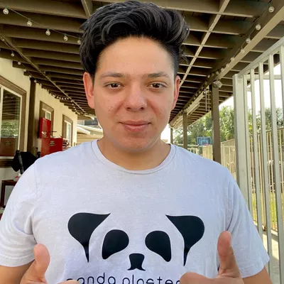 Panda Plastering