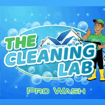 The Cleaning Lab