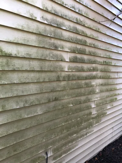Splash Bros Power Washing & Window Cleaning