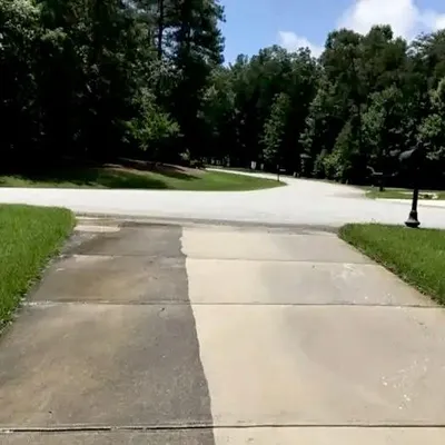 Snaps tree trimming/removal