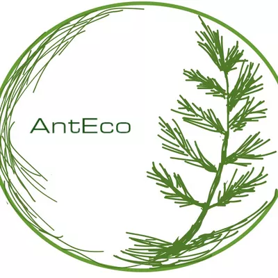 AntEco Pest Control Inc.