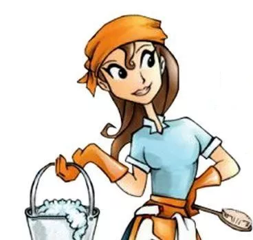 Miss J. Maid Services