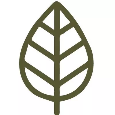 The AD Leaf Marketing Firm