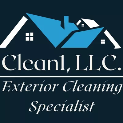 Clean1