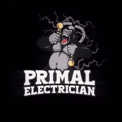 Primal Electric Co.