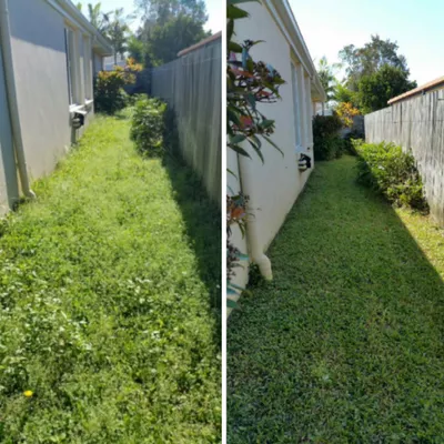 Wipe Out Exterior Cleaning Services LLC