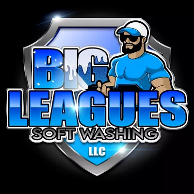 Big Leagues Soft Washing  LLC