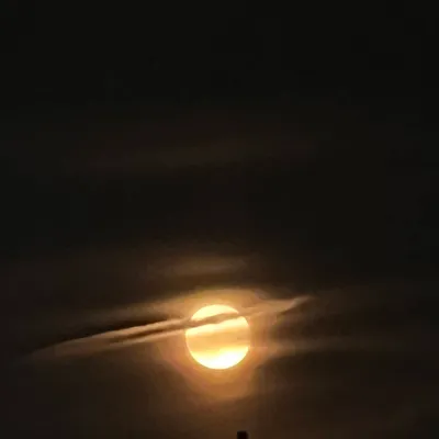 Moonwlf Ap Construction Llc
