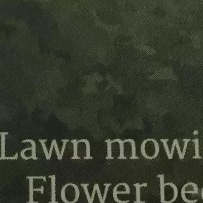 Dougs lawn service