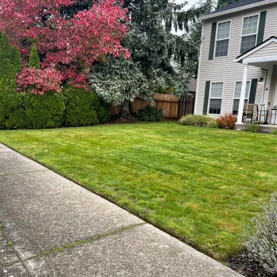 Mingo’s landscape LLC