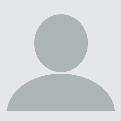 Domer LLC