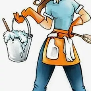 Cleaning services