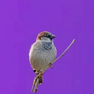 EverTest Media
