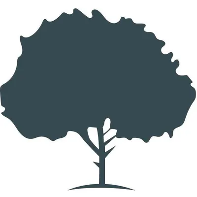 Evanir Property Management