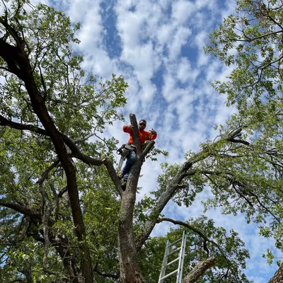 Livity Lawn Solutions