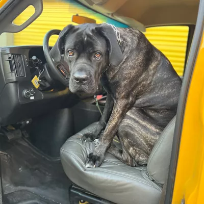 Cargo Moose LLC