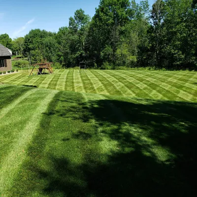 Cut Right Lawn Care