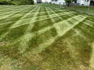 Your Maintenance Free Lawn Services LLC