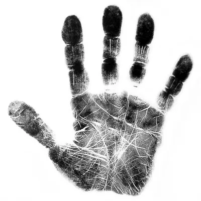 30 Hands Helper