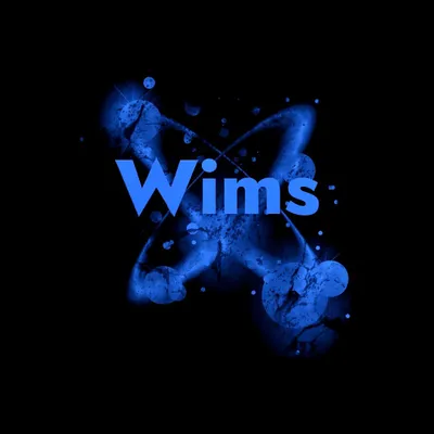 PLIM LLC