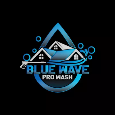 Blue Wave Pro Wash