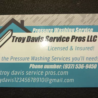 Troy Davis Service Pros LLC