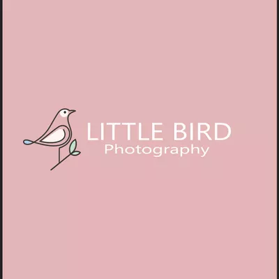 Little Bird Photography