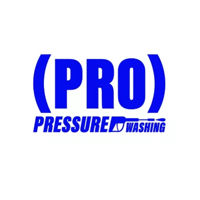 Pro Pressure Washing