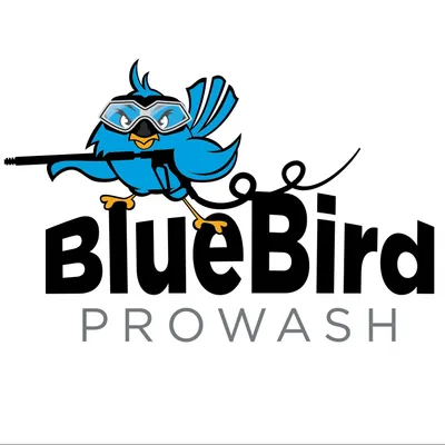 Blue Bird Prowash LLC