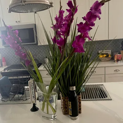 V&F Property Management and Home Solution