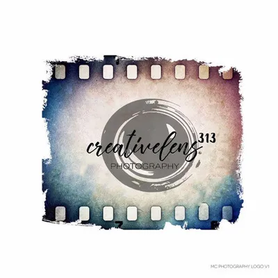 CreativeLens313