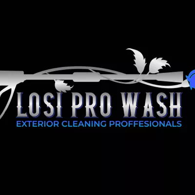 Losi Pro Wash