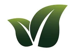 M.S landscaping & tree service